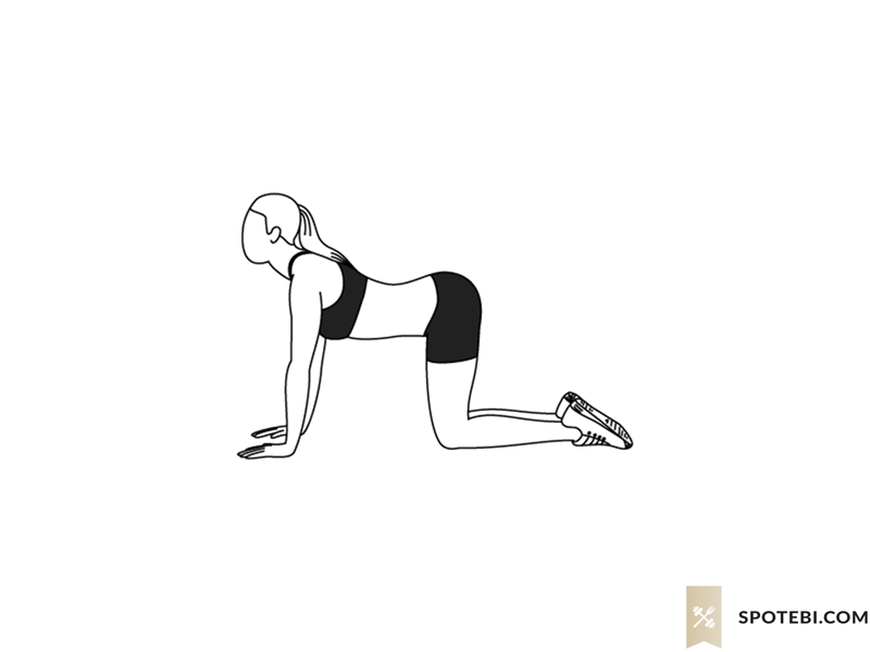 Back Stretch